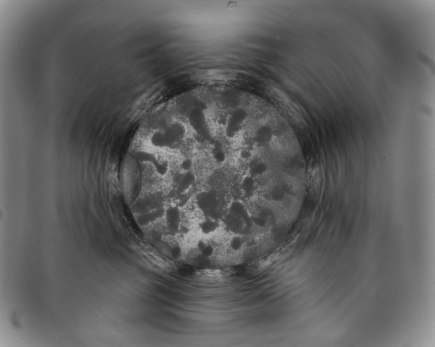 X0000097990381200804141147