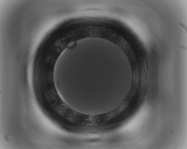 X0000097990383200804141148