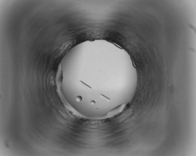 X0000097990384200804141148