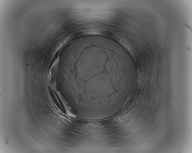 X0000097990386200804141147