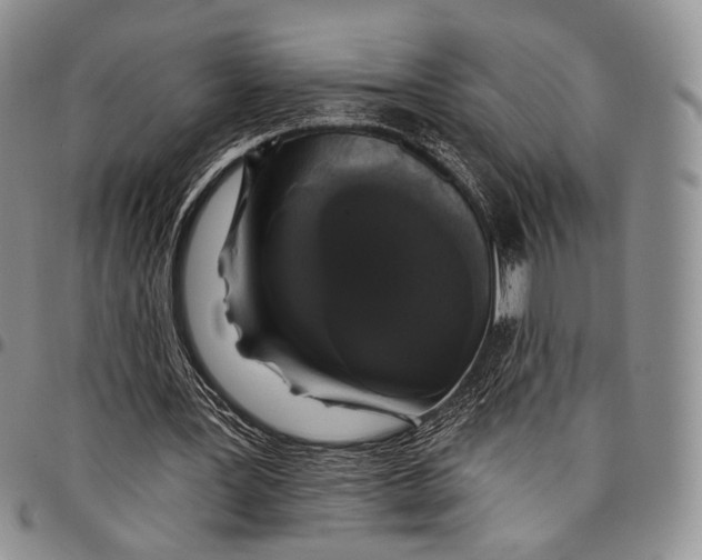 X0000097990387200804141147