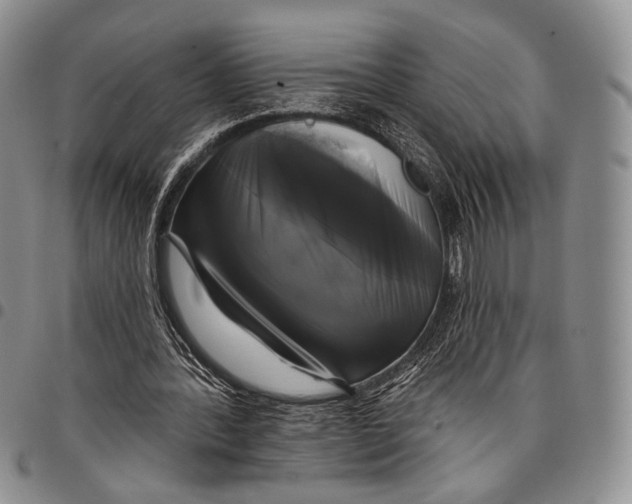 X0000097990388200804141147