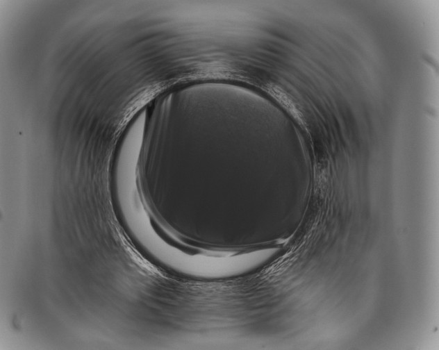 X0000097990389200804141147