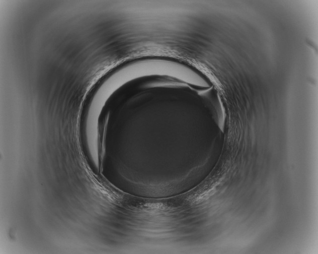 X0000097990391200804141147