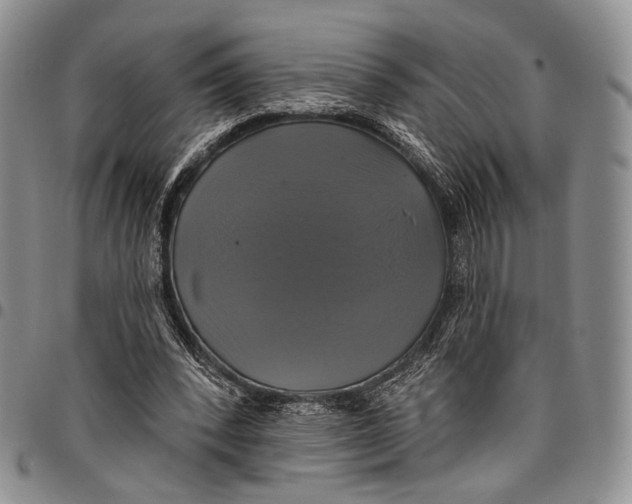 X0000097990392200804141147