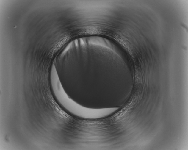 X0000097990393200804141147