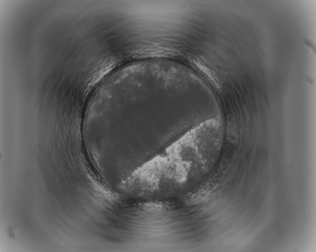 X0000097990394200804141147