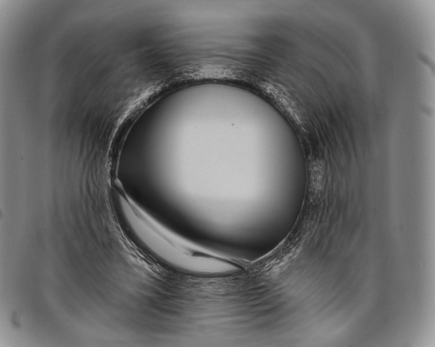 X0000097990395200804141147