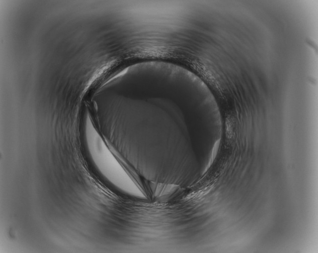 X0000097990396200804141147