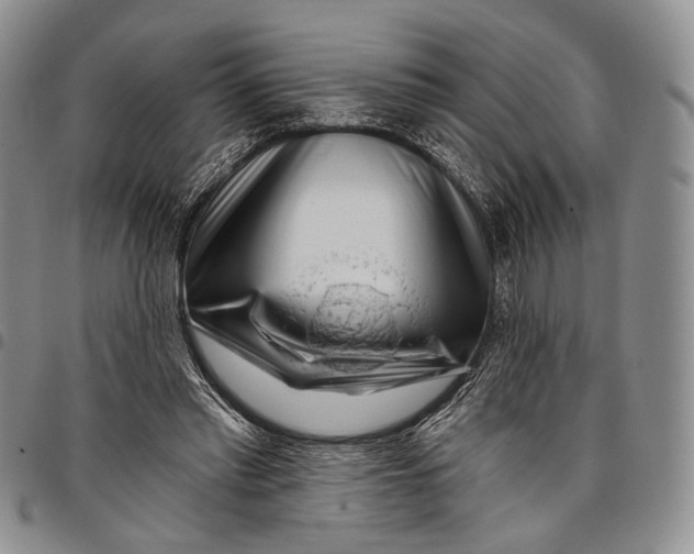 X0000097990397200804141147