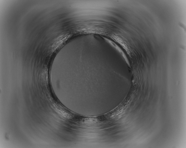 X0000097990398200804141147