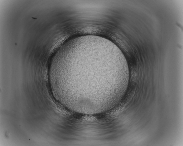 X0000097990403200804141147