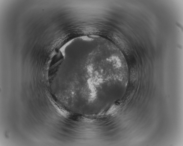 X0000097990405200804141147