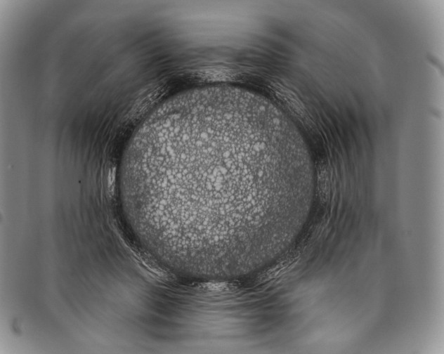 X0000097990406200804141147