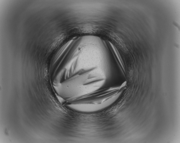 X0000097990407200804141147