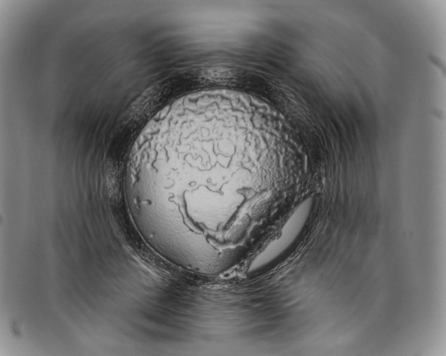 X0000097990408200804141147