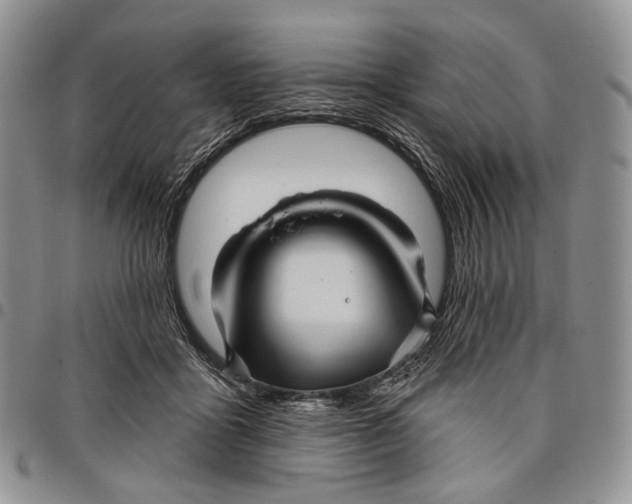 X0000097990411200804141146