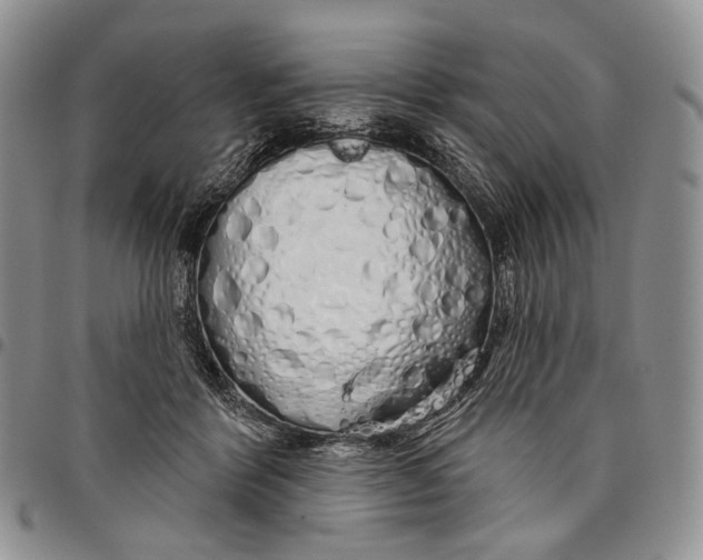 X0000097990412200804141146