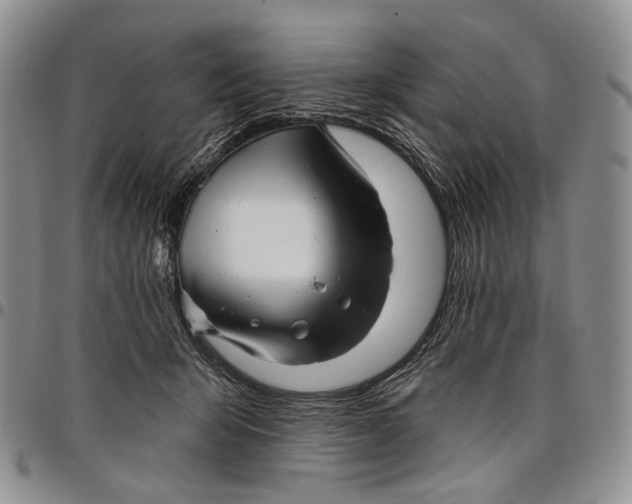 X0000097990415200804141146