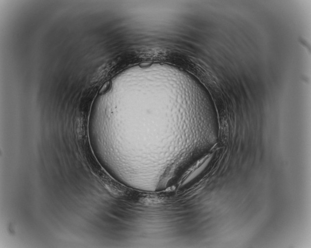 X0000097990416200804141146