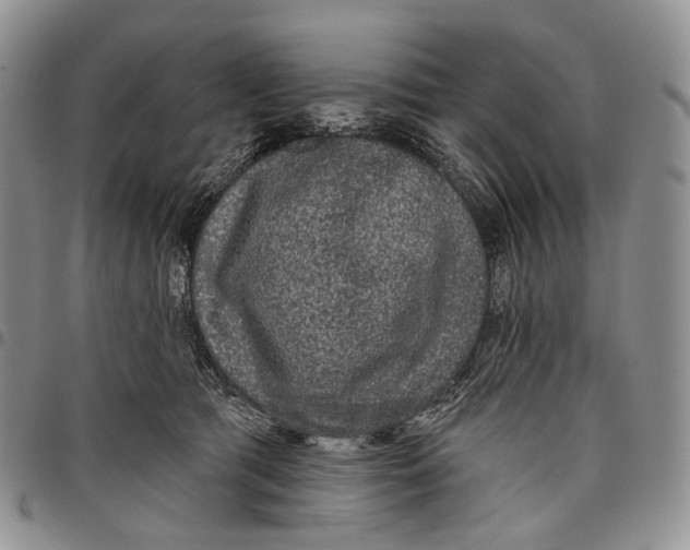 X0000097990417200804141146