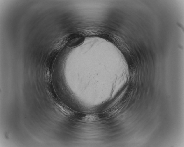 X0000097990418200804141146