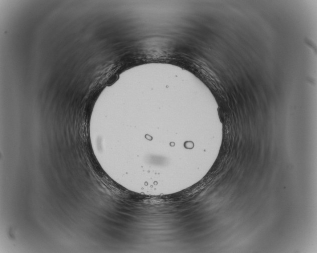 X0000097990419200804141146