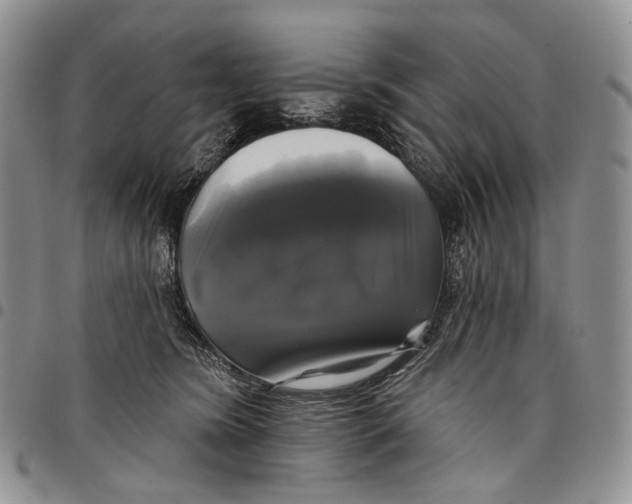 X0000097990420200804141146