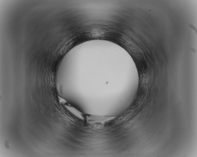 X0000097990421200804141146