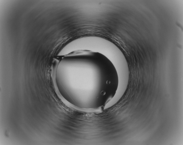 X0000097990423200804141146