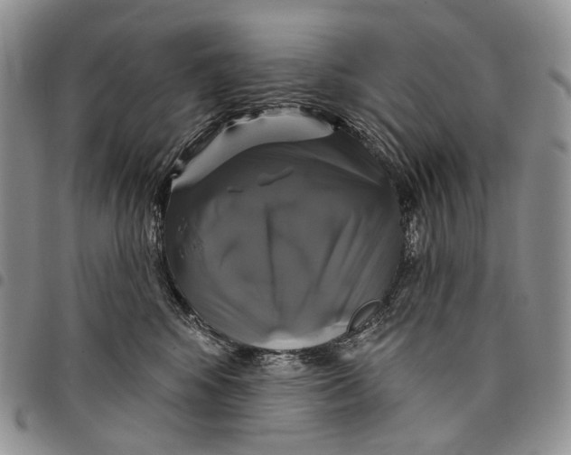 X0000097990424200804141146