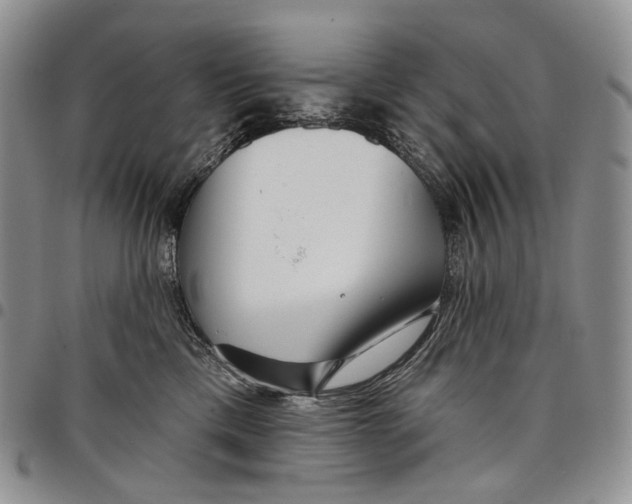 X0000097990425200804141146