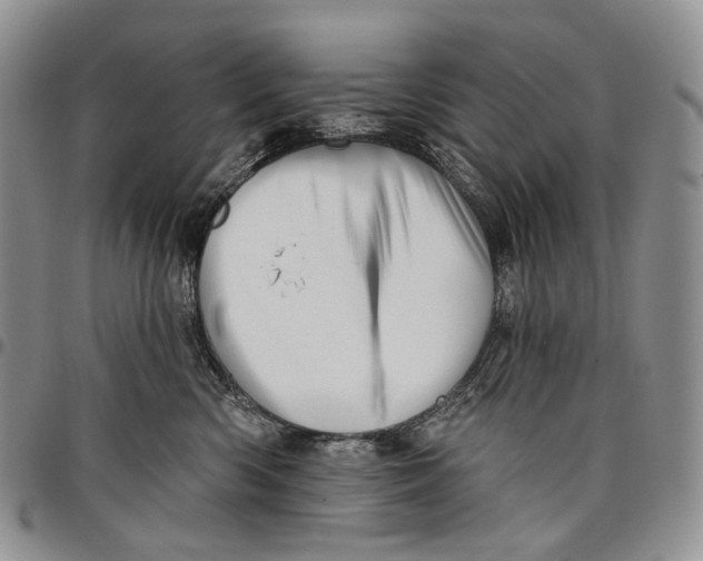 X0000097990426200804141146