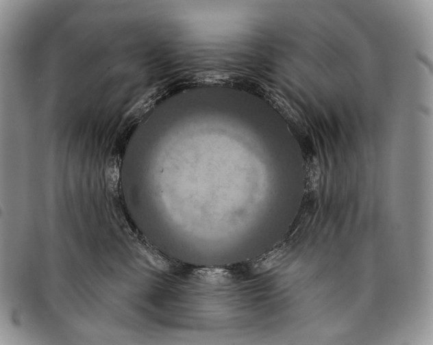 X0000097990427200804141146