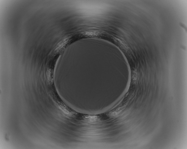 X0000097990428200804141146