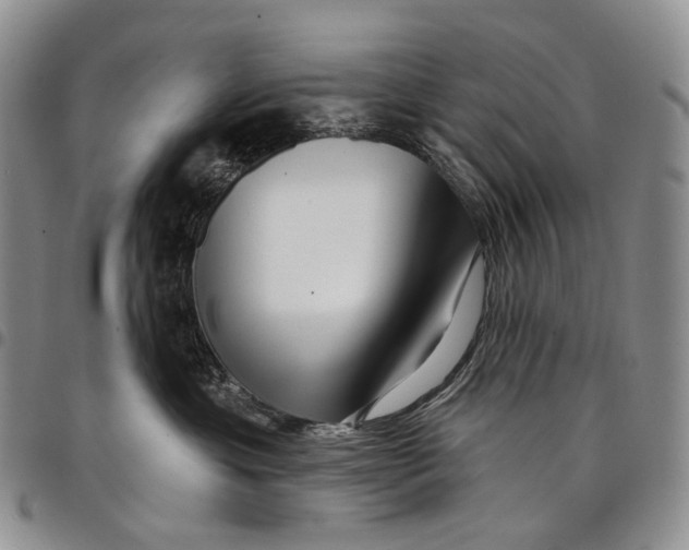 X0000097990429200804141146