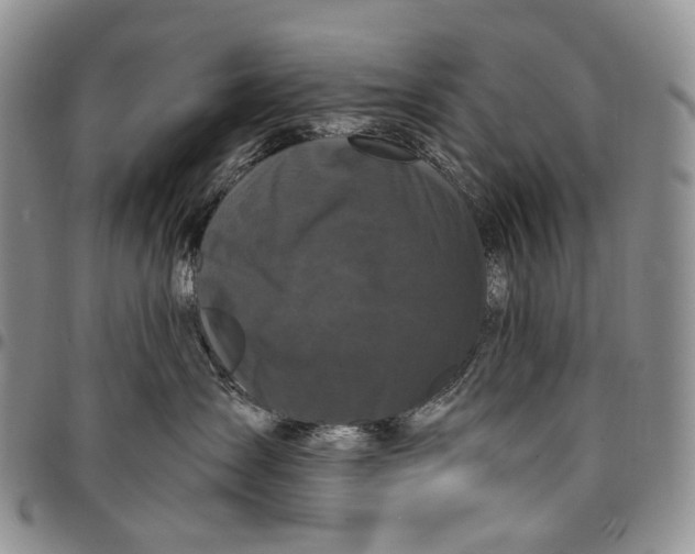 X0000097990431200804141146