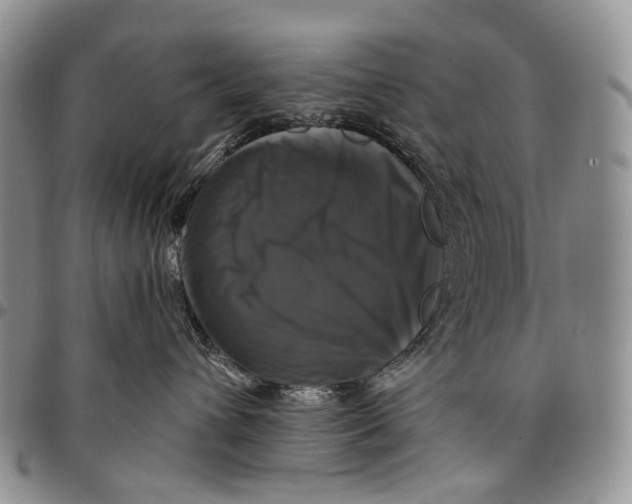 X0000097990432200804141146