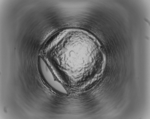 X0000097990434200804141145