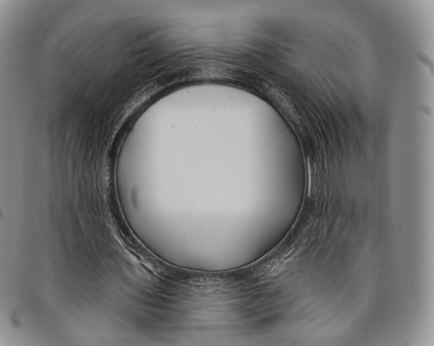 X0000097990435200804141145