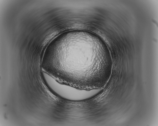 X0000097990437200804141145