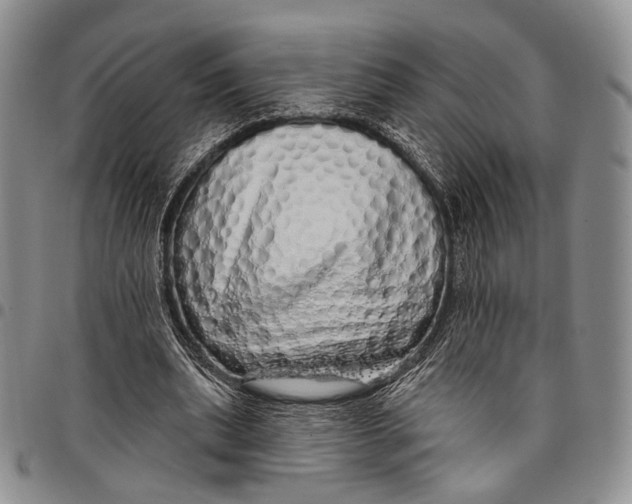 X0000097990439200804141145