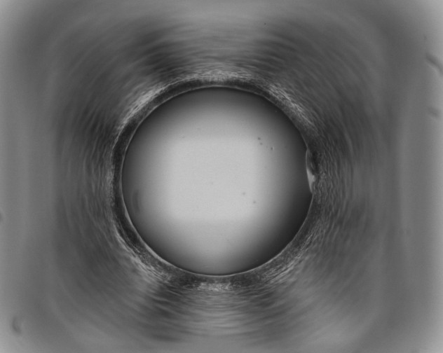 X0000097990440200804141145