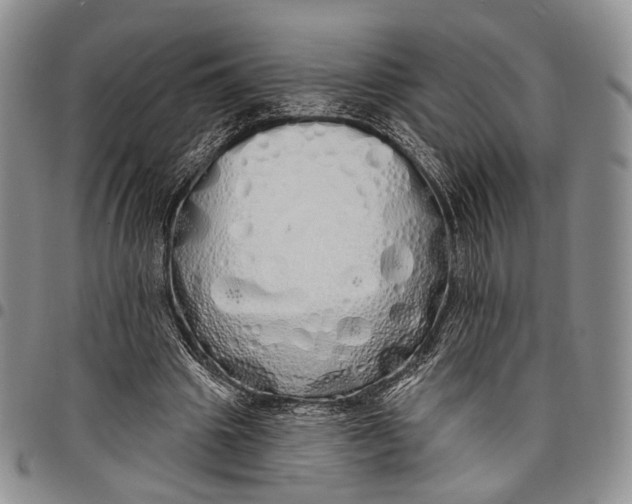 X0000097990441200804141145