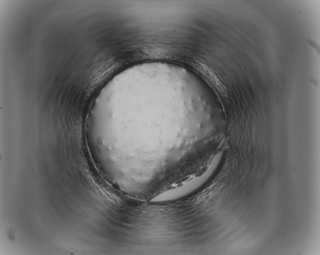 X0000097990442200804141145