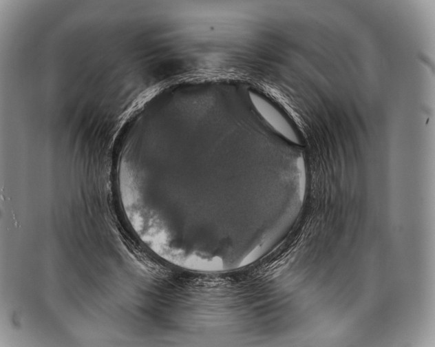 X0000097990443200804141146