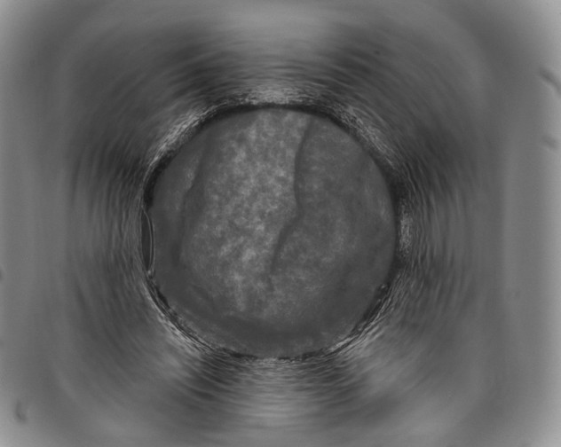 X0000097990444200804141146