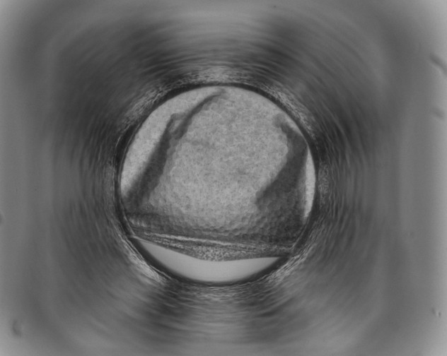 X0000097990445200804141146