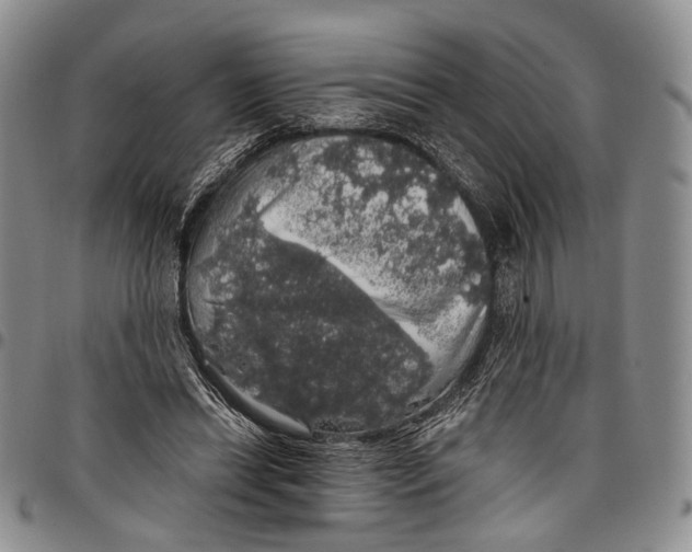 X0000097990446200804141146