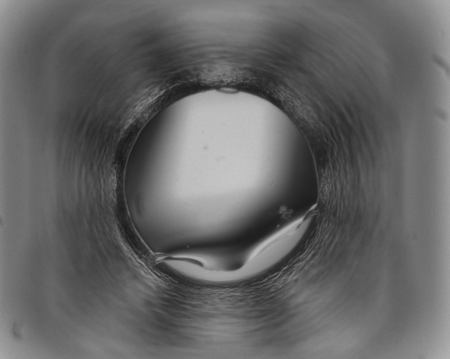 X0000097990448200804141146